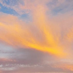 Meet your Posher, Caelyn